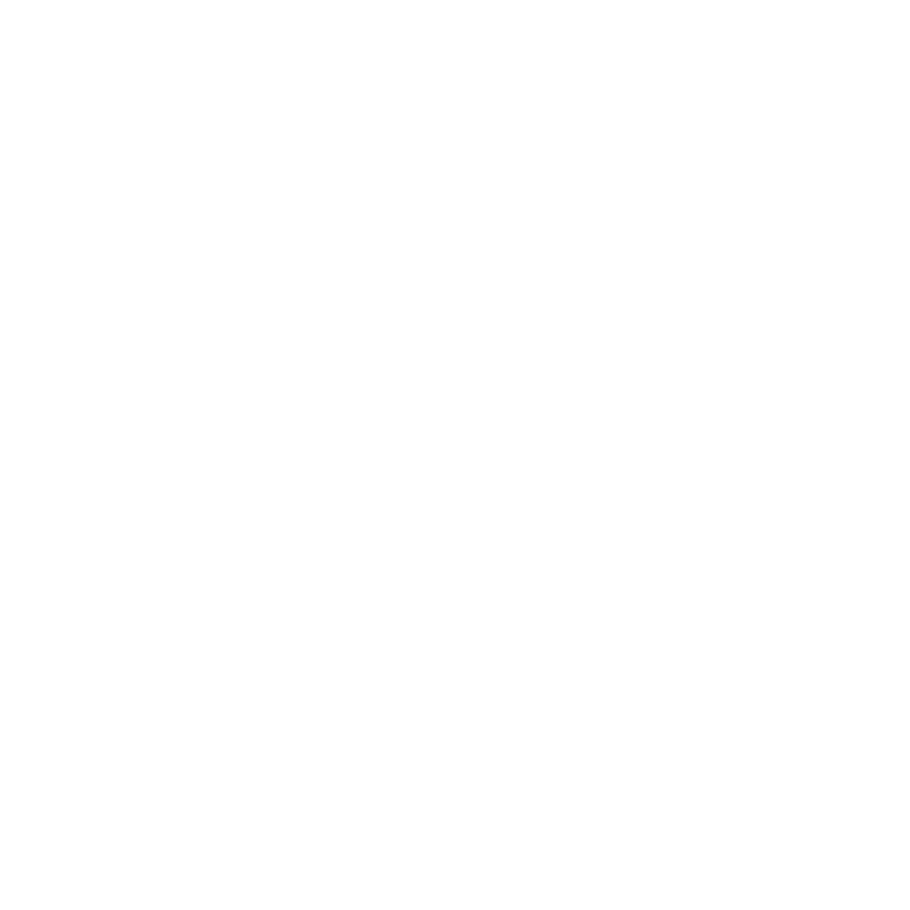 Voice Dictations